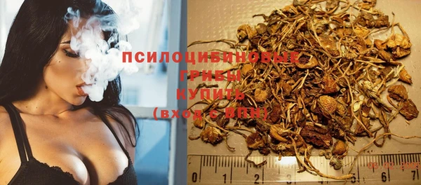 стафф Алапаевск