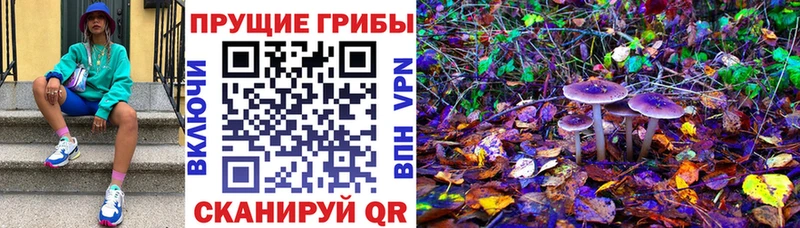 кракен   Архангельск  Псилоцибиновые грибы GOLDEN TEACHER 