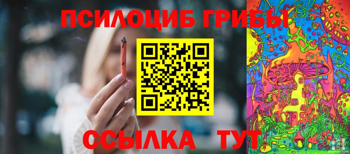 Псилоцибиновые грибы GOLDEN TEACHER Архангельск