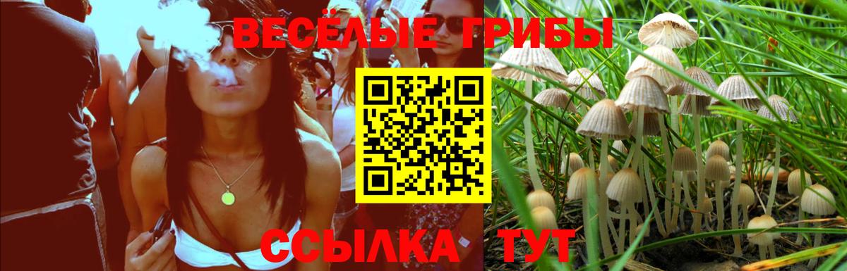 Галлюциногенные грибы мицелий Архангельск